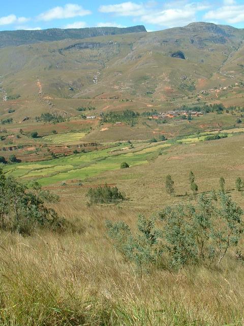 200304 178 Madagascar