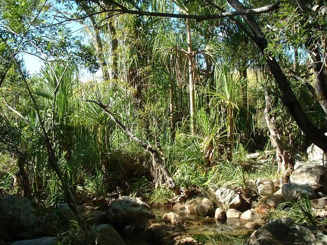 200304 203 Madagascar