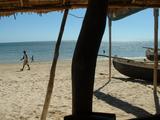 200304 267 Madagascar