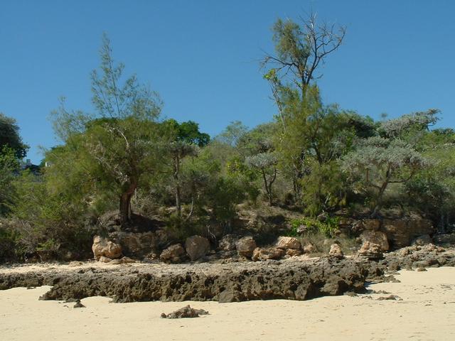 200304 260 Madagascar