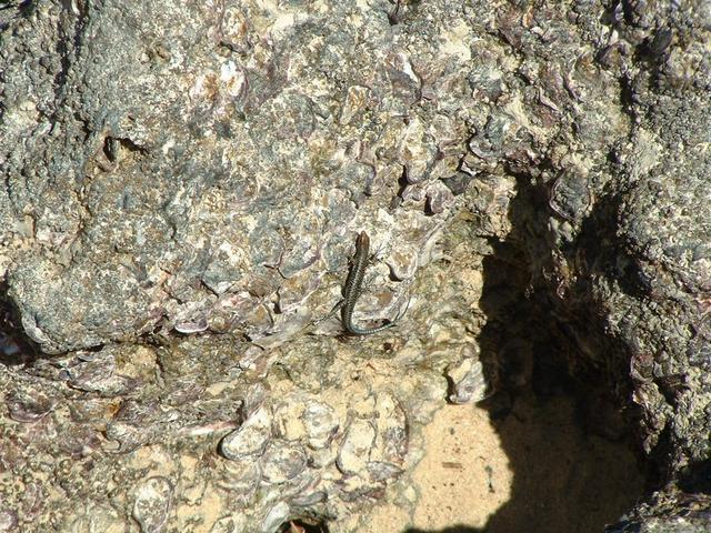 200304 261 Madagascar