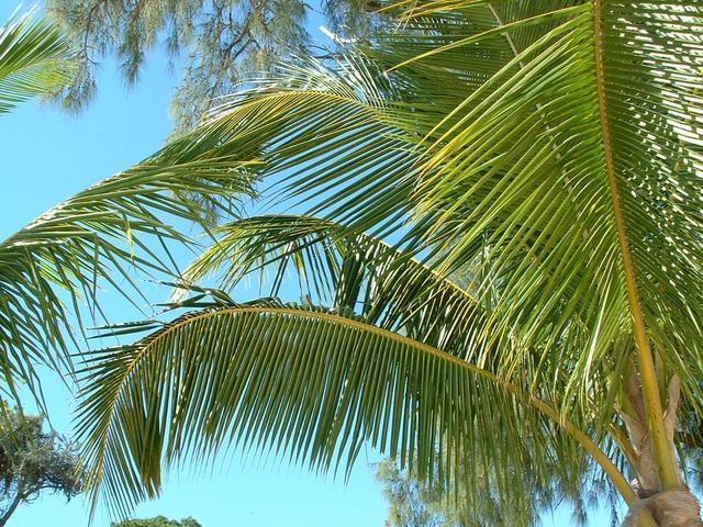 200304 262 Madagascar