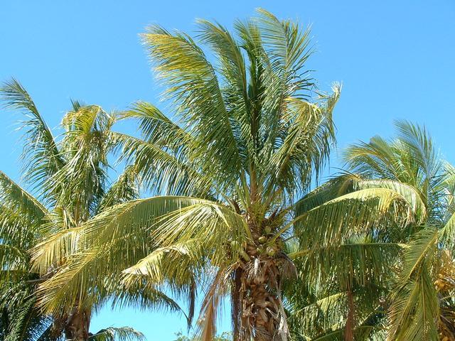 200304 263 Madagascar