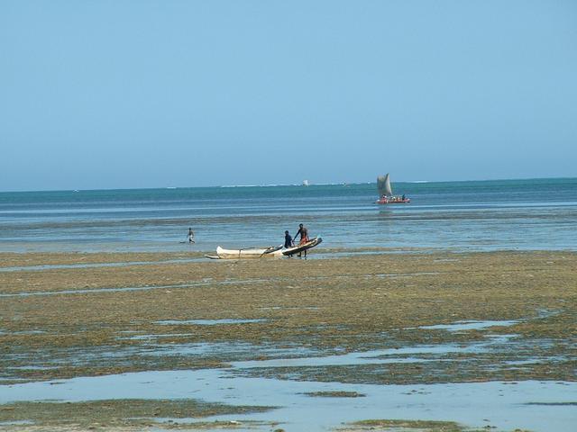 200304 265 Madagascar