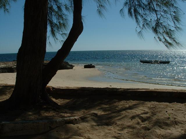 200304 272 Madagascar