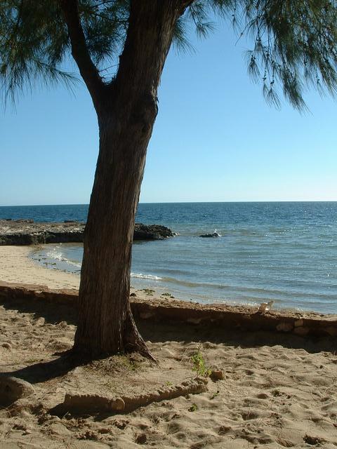 200304 276 Madagascar