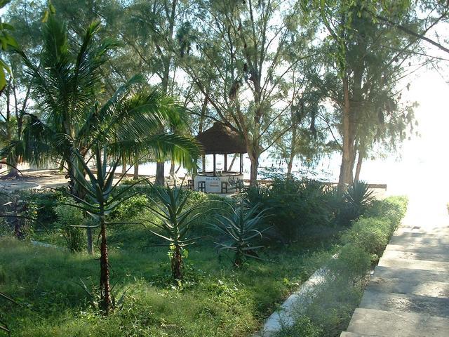 200304 277 Madagascar