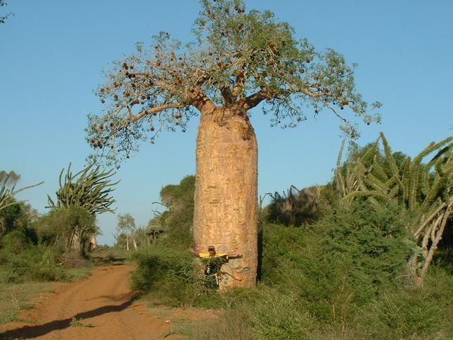 200304 281 Madagascar