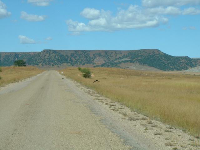 200304 291 Madagascar