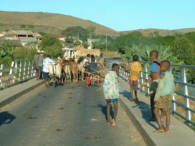 200304 321 Madagascar