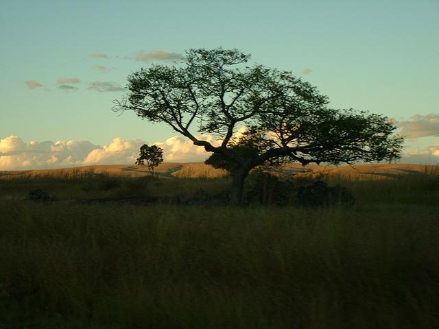 200304 328 Madagascar
