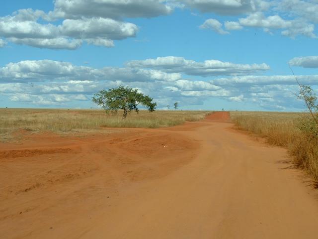 200304 305 Madagascar