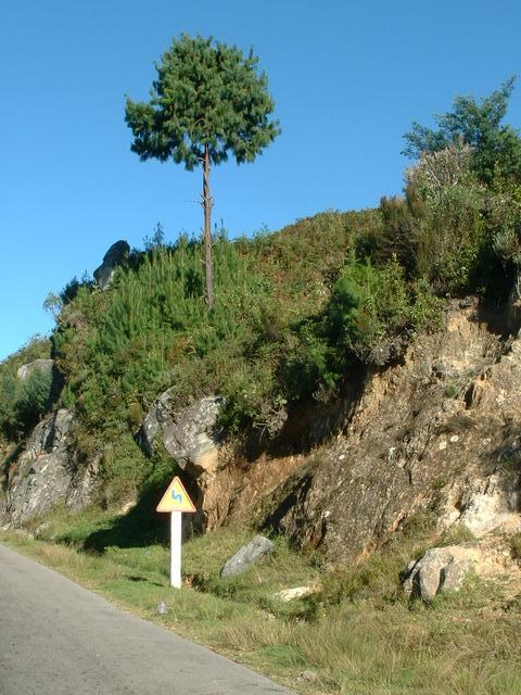 200304 337 Madagascar
