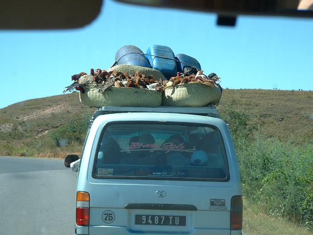 200304 339 Madagascar
