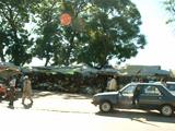 200304 342 Madagascar