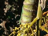 200304 348 Madagascar