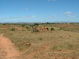 20030504 01 Madagascar