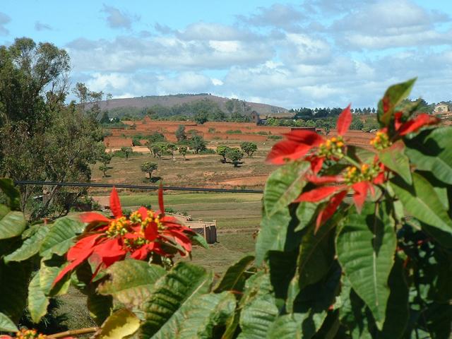 20030504 06 Madagascar
