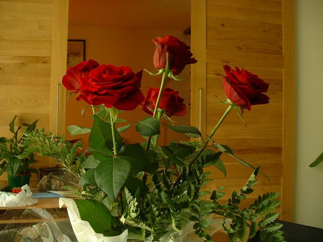 20040430 1631 09 red roses