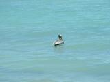 20040529 2028 107 Antilles