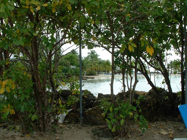 20040523 1459 08 Antilles