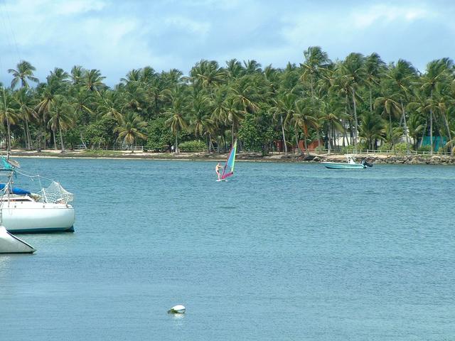 20040523 1606 29 Antilles