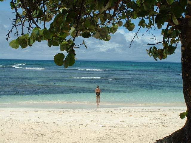20040523 1649 32 Antilles