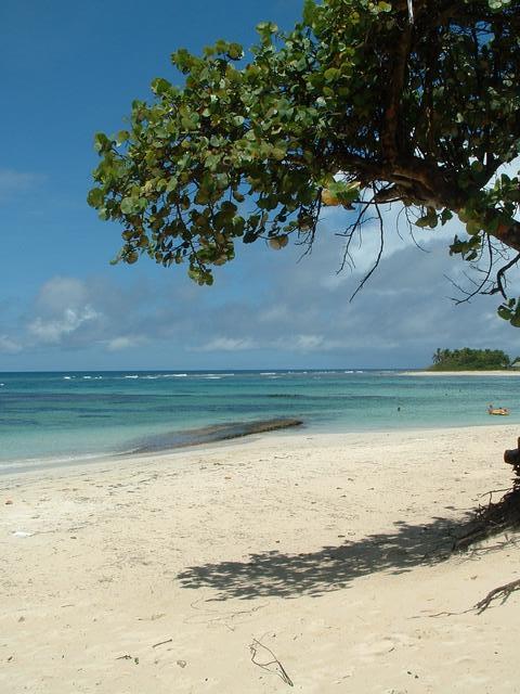 20040523 1650 33 Antilles