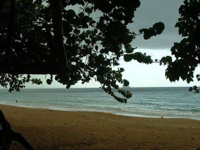 20040527 2155 70 Antilles