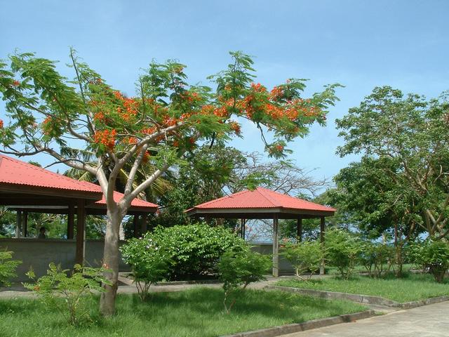 20040530 1612 111 Antilles