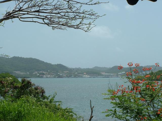 20040530 1631 121 Antilles