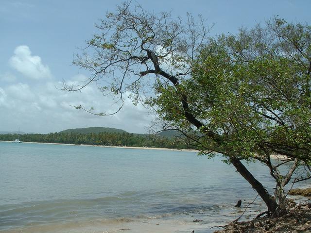 20040530 1806 122 Antilles