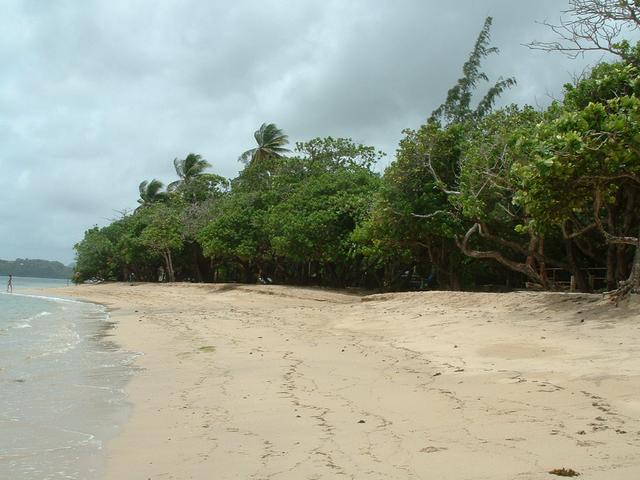 20040605 1710 171 Antilles
