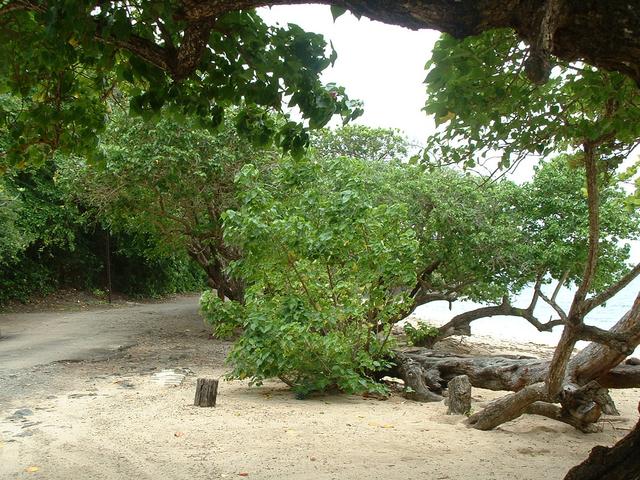 20040605 1713 175 Antilles