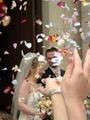 20040717 1731 45 mariage Liziard
