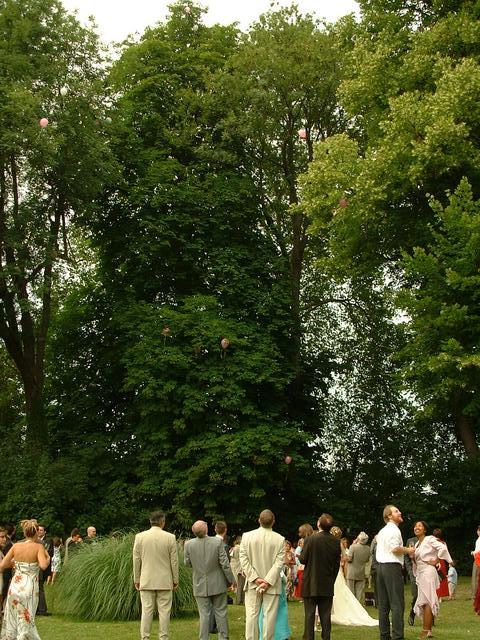 20040717 1952 73 mariage Liziard