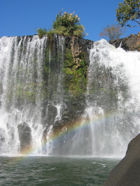 photo003