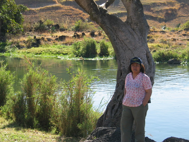 photo006