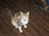 photo200