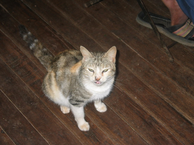 photo200