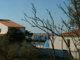 20041115 1126 02 Cotiniere