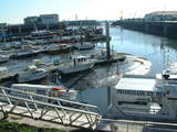 20041115 1131 06 Cotiniere