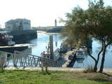 20041115 1138 11 Cotiniere