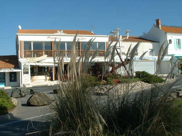 20041115 1135 08 Cotiniere