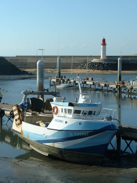 20041115 1147 16 Cotiniere