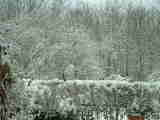 20050304 neige 011