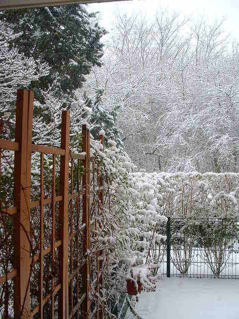 20050304 neige 001