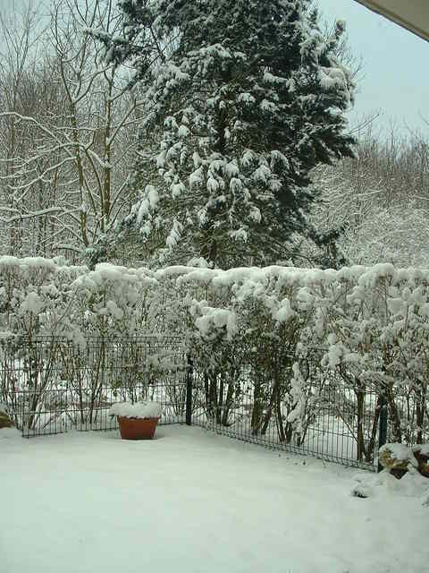 20050304 neige 009