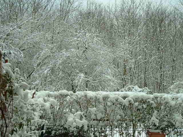 20050304 neige 011