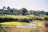fl000015